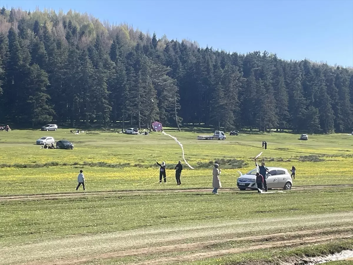 Bolu Yayla Turizmi ile Doğaseverleri Ağırlıyor