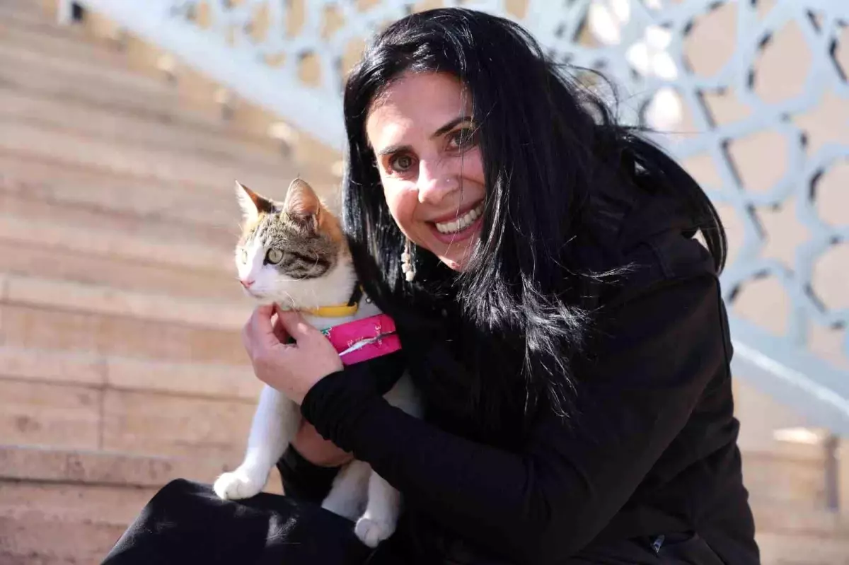 Romanyalı Kadın, Elazığ'daki Tekir Kediyi Sahiplendi
