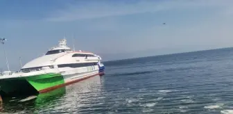 Mudanya Kıyılarında Müsilaj Alarmı
