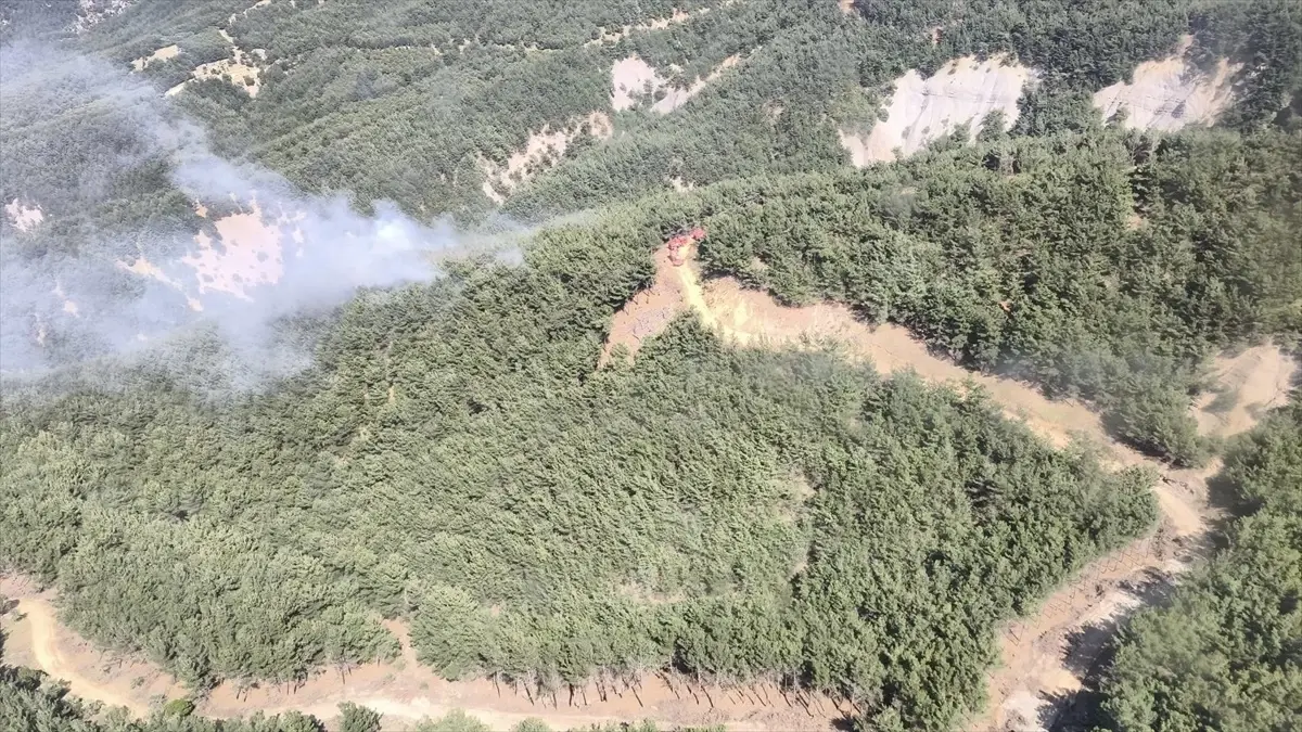 Gökçeada'da Orman Yangını Kontrol Altına Alındı