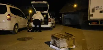 Çorum'da Düşen Arı Kovanları Otoparka Kaldırıldı
