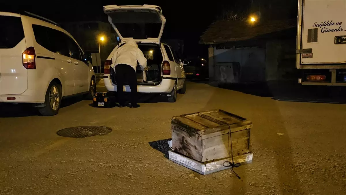 Çorum'da Düşen Arı Kovanları Otoparka Kaldırıldı