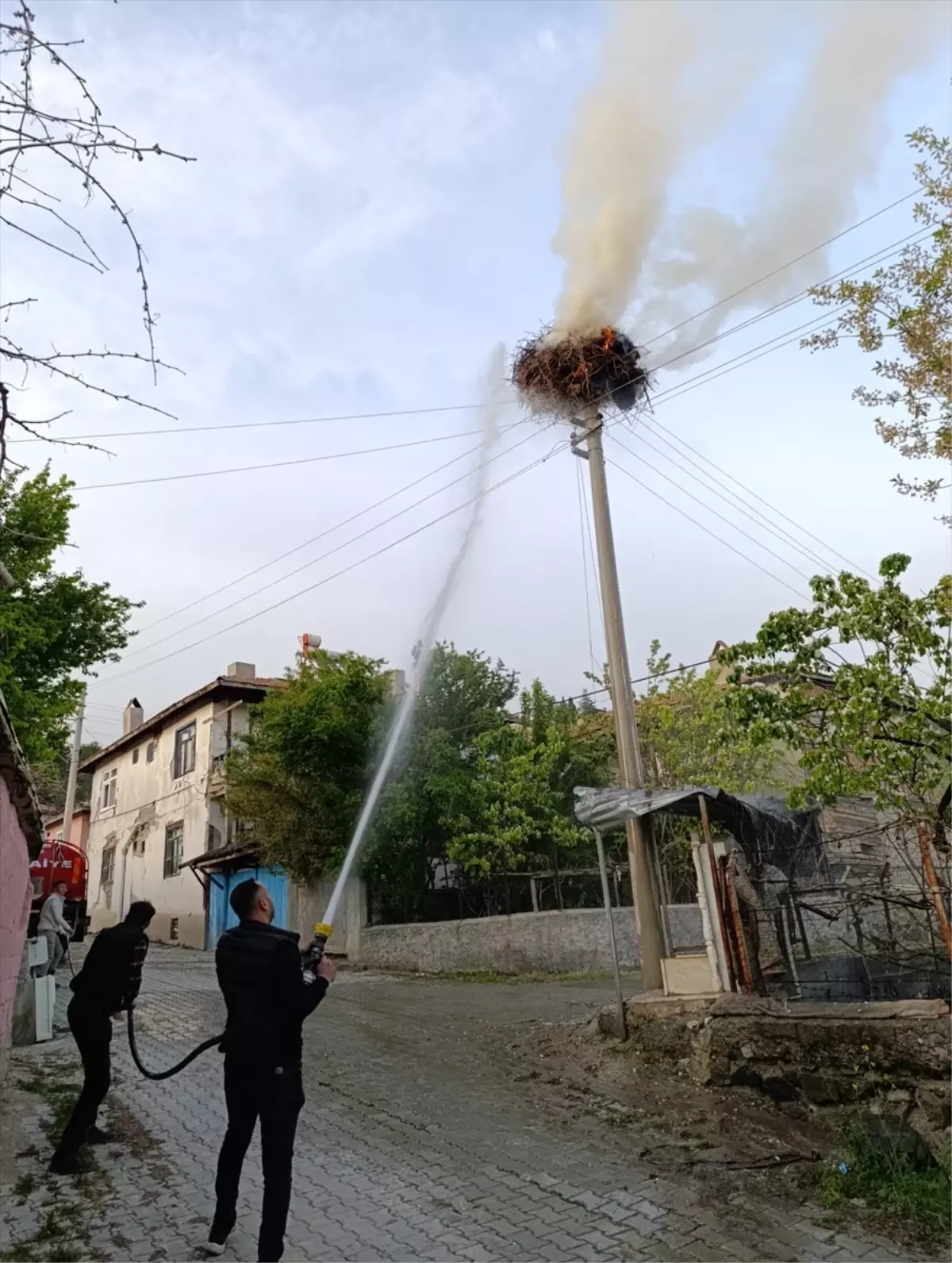 Çorum'da Elektrik Direğinde Leylek Yuvası Yangınla Tahrip Oldu