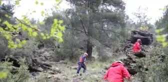 Denizli'de Kayıp Mantar Toplayıcısı İçin Arama Çalışmaları Sürüyor
