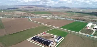 Muş'ta Güneş Enerjili Büyükbaş Hayvan Çiftliği