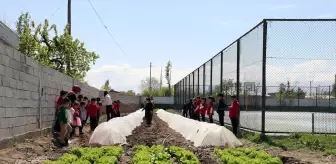 Iğdır'da Öğrenciler Toprakla Buluşarak Dijital Bağımlılıkla Mücadele Ediyor