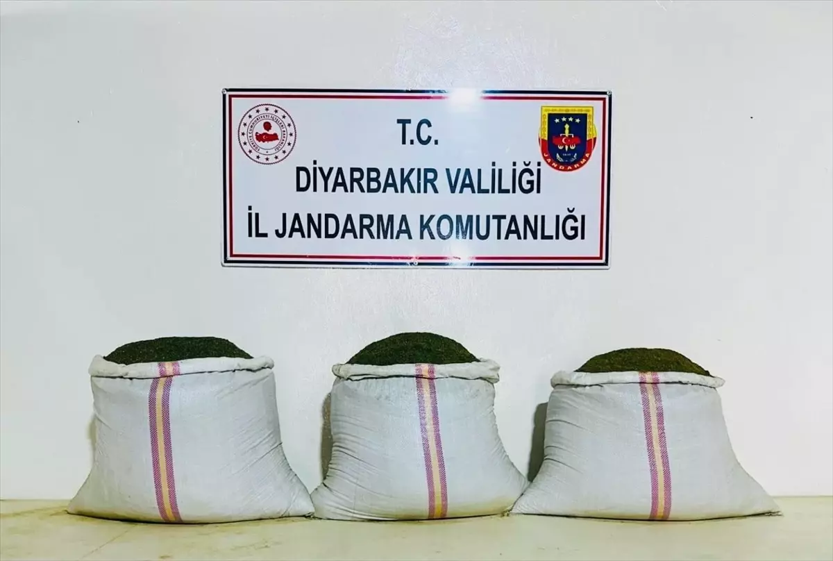 Diyarbakır'da Uyuşturucu Operasyonu: 18 Bin Kök Hint Keneviri Ele Geçirildi