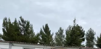 Diyarbakır'da Firari Hükümlü Yakalandı