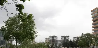 Diyarbakır'da Kuvvetli Rüzgar ve Fırtına Hayatı Olumsuz Etkiledi