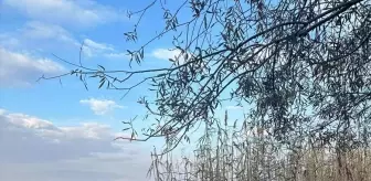 Eber Gölü Koruma Önlemleriyle Kaçak Avcılığa Geçit Yok