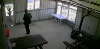 Edirne'de Köpeğe İşkence Eden Yaşlı Adamın Üzücü Hikayesi
