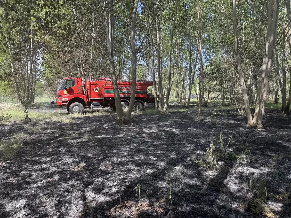 Edirne'de Çalılık Alanda Yangın Söndürüldü
