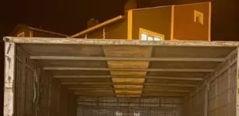 Edirne'de Çalınan 6 Büyükbaş Hayvan Drone ile Bulundu