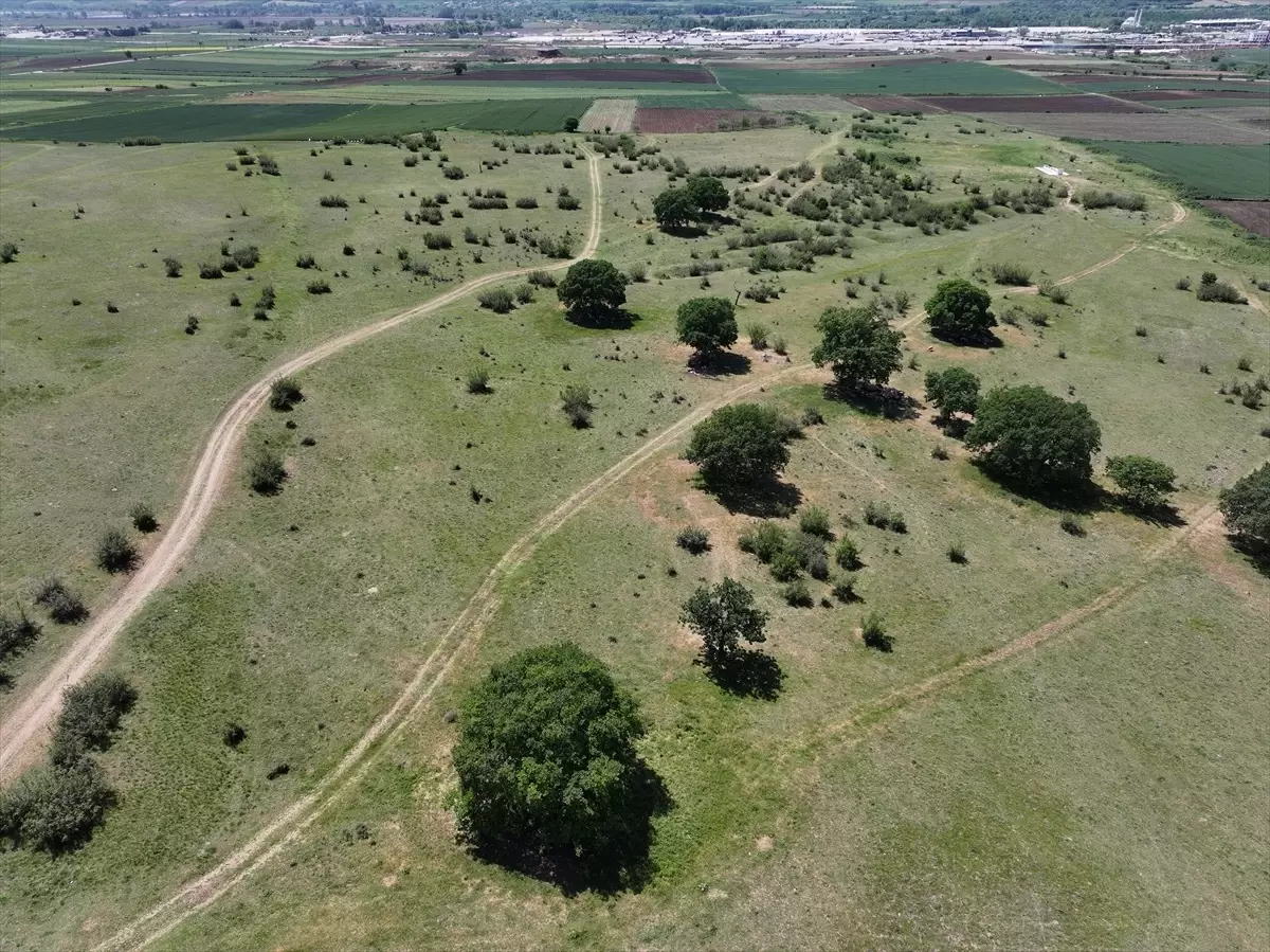 Edirne'de Meralara Sulama Sistemi İle Destek