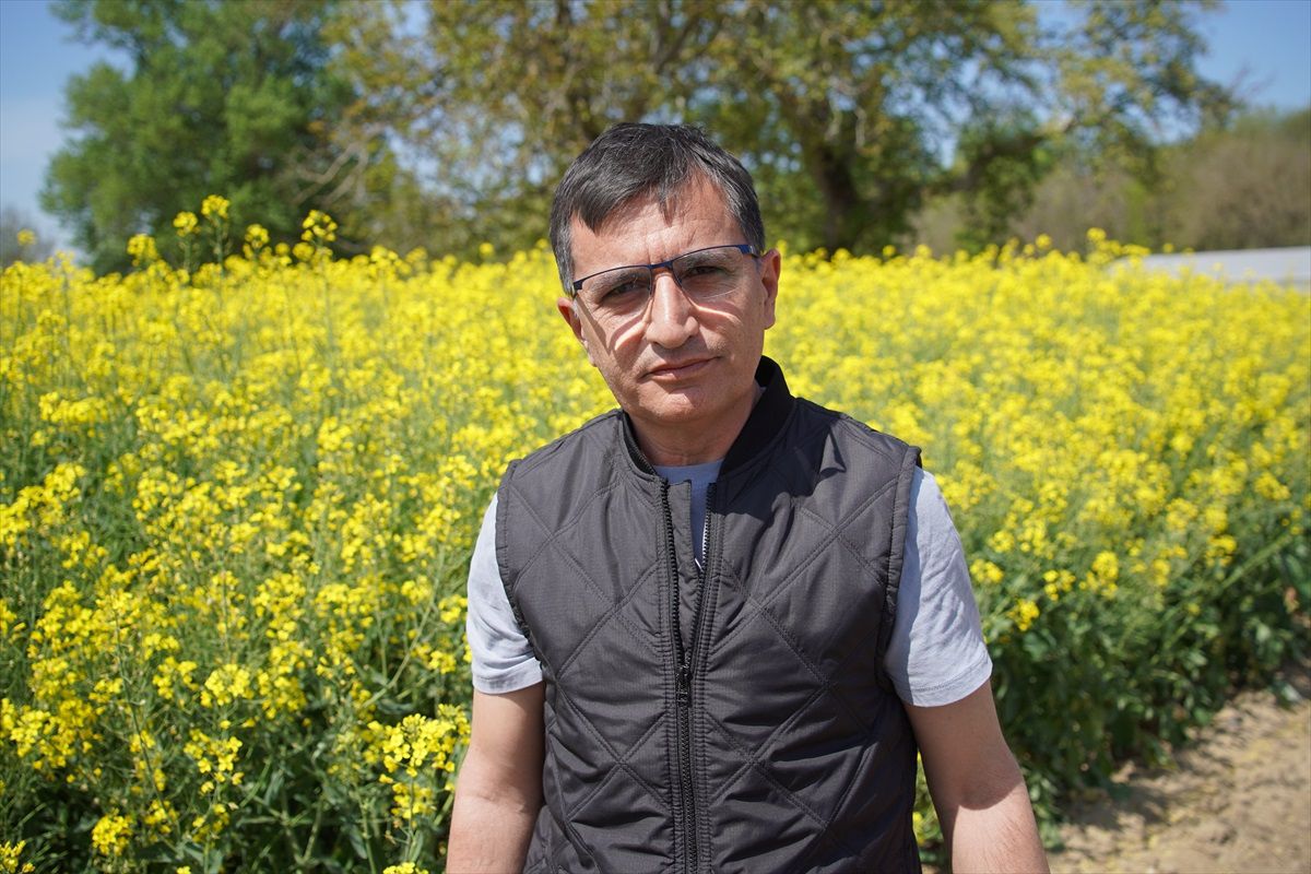 Tıbbi Aromatik Bitkiler ile Çiftçilere Model Olma Hedefi