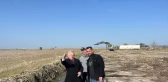 İpsala'da Sahipsiz Hayvanlar için Doğal Yaşam Alanı Oluşturuluyor
