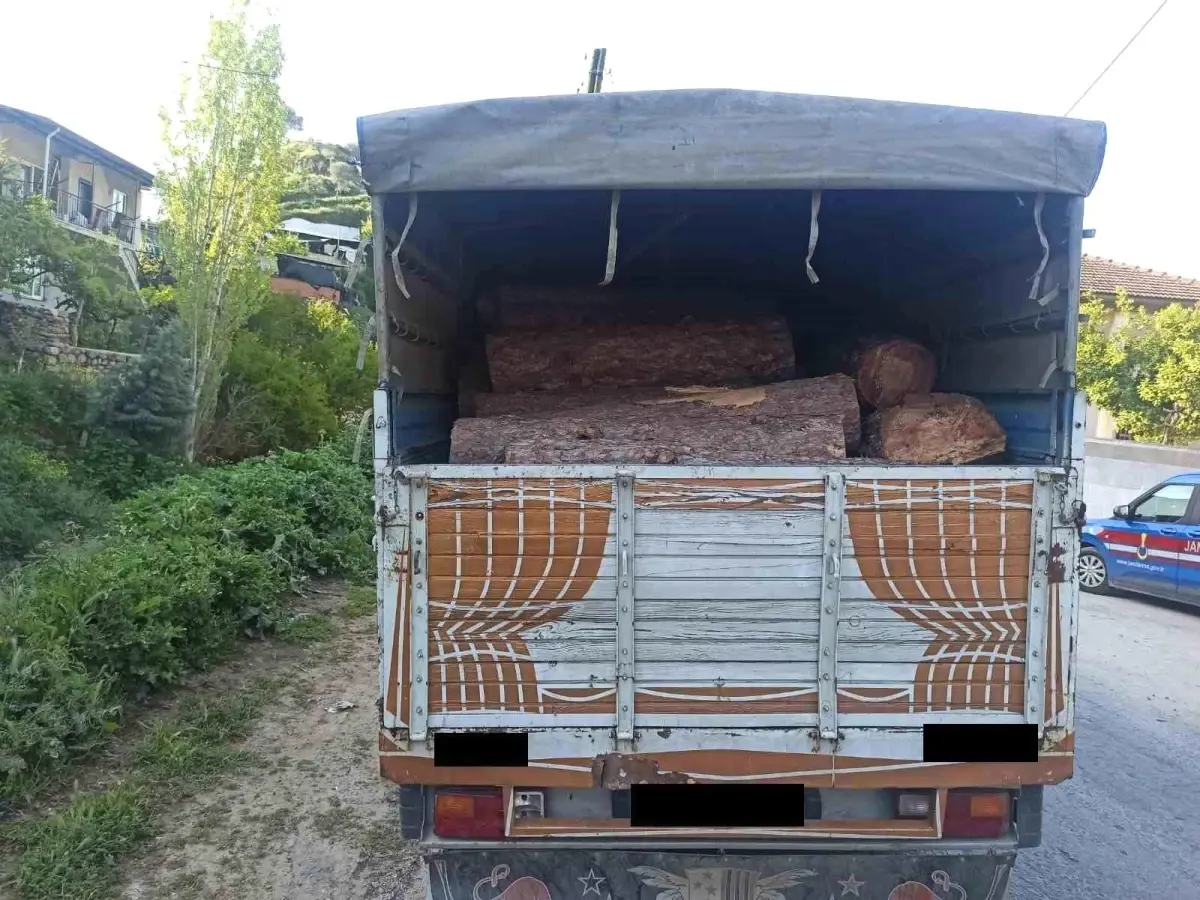 Aydın'da Kaçak Orman Ürünü Ele Geçirildi