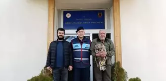 Elazığ'da Yaralı Kaya Kartalı Kurtarıldı