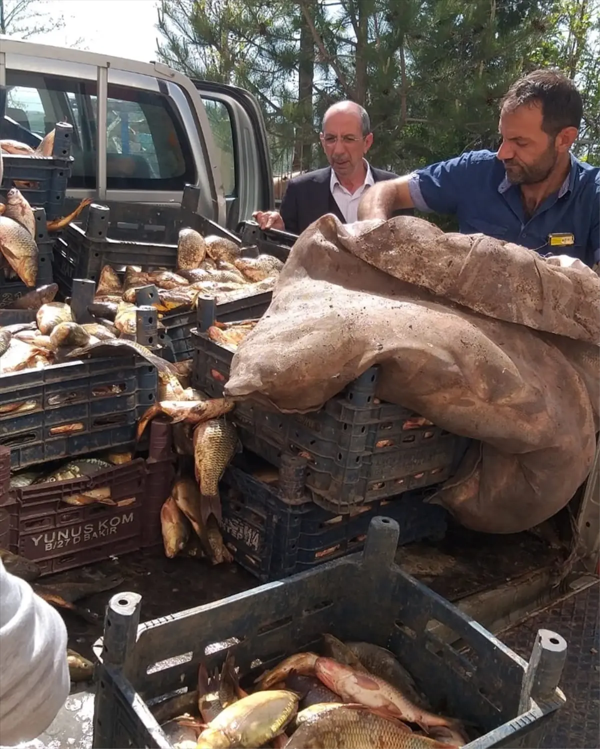 Elazığ'da Kaçak Avlanan 700 Kilogram Balık Ele Geçirildi