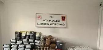 Antalya'da Kaçak Tütün Operasyonu: 1 Gözaltı