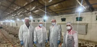 Erzincan'da Kanatlı Hayvan Sektöründe Hareketlilik Devam Ediyor