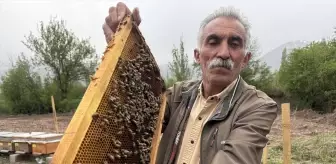 Erzincan'da Soğuk Hava Arıcılığı Olumsuz Etkiliyor