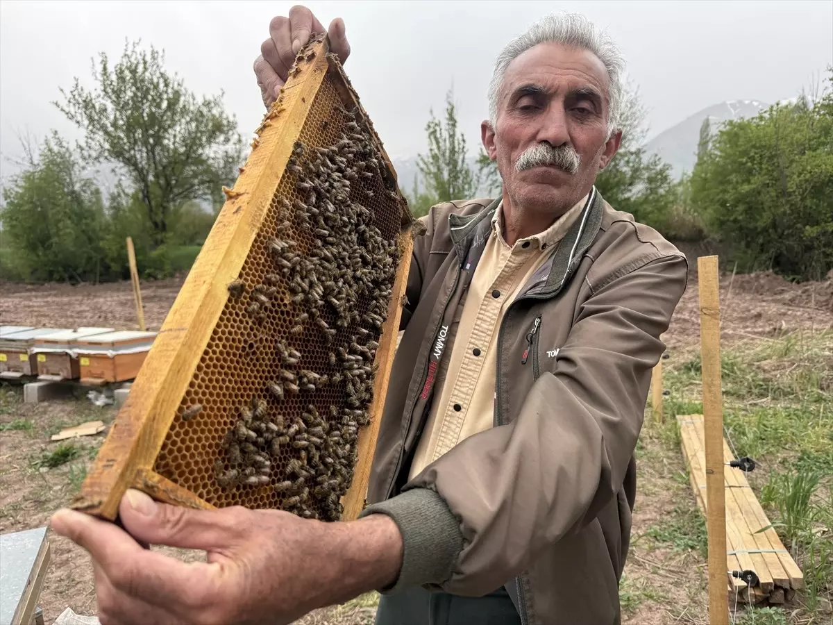 Erzincan'da Soğuk Hava Arıcılığı Olumsuz Etkiliyor