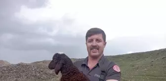 Palandöken'de Bataklıkta Mahsur Kalan Koyun İtfaiye Ekipleri Tarafından Kurtarıldı
