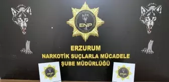 Erzurum'da Torbacıya Operasyon: Zanlı Tutuklandı