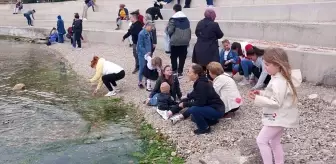 Gelibolu'da Hıdrellez Şenlikleri Coşkuyla Kutlandı