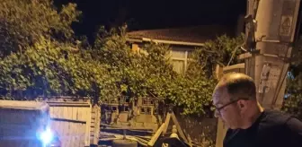 Gömeç'te Su Dolu Havuzdan Kurtarılan Köpek Sağlığına Kavuştu