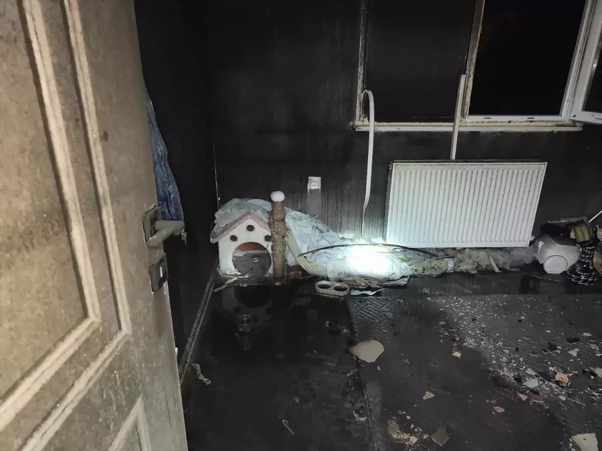 Balıkesir'de Apartmanda Yangın: Kedi Kurtarıldı