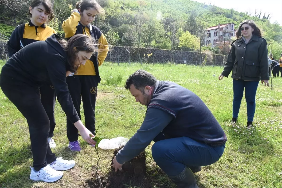 Öğrenciler, Halil Ercan Köroğlu Anısına Fidan Dikti