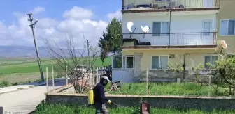 Güdül'de Haşereyle Mücadele ve Çöp Alanında Düzenleme Çalışmaları