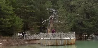 Limni Gölü Tabiat Parkı, Ziyaretçi Akınına Hazır