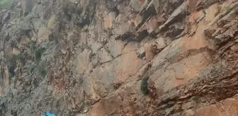 Hakkari'de Kamyonet Kazası: Sürücü Hayatını Kaybetti