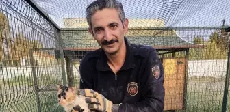 İskenderun'da Bina Boşluğuna Düşen Kedi İtfaiye Ekiplerince Kurtarıldı