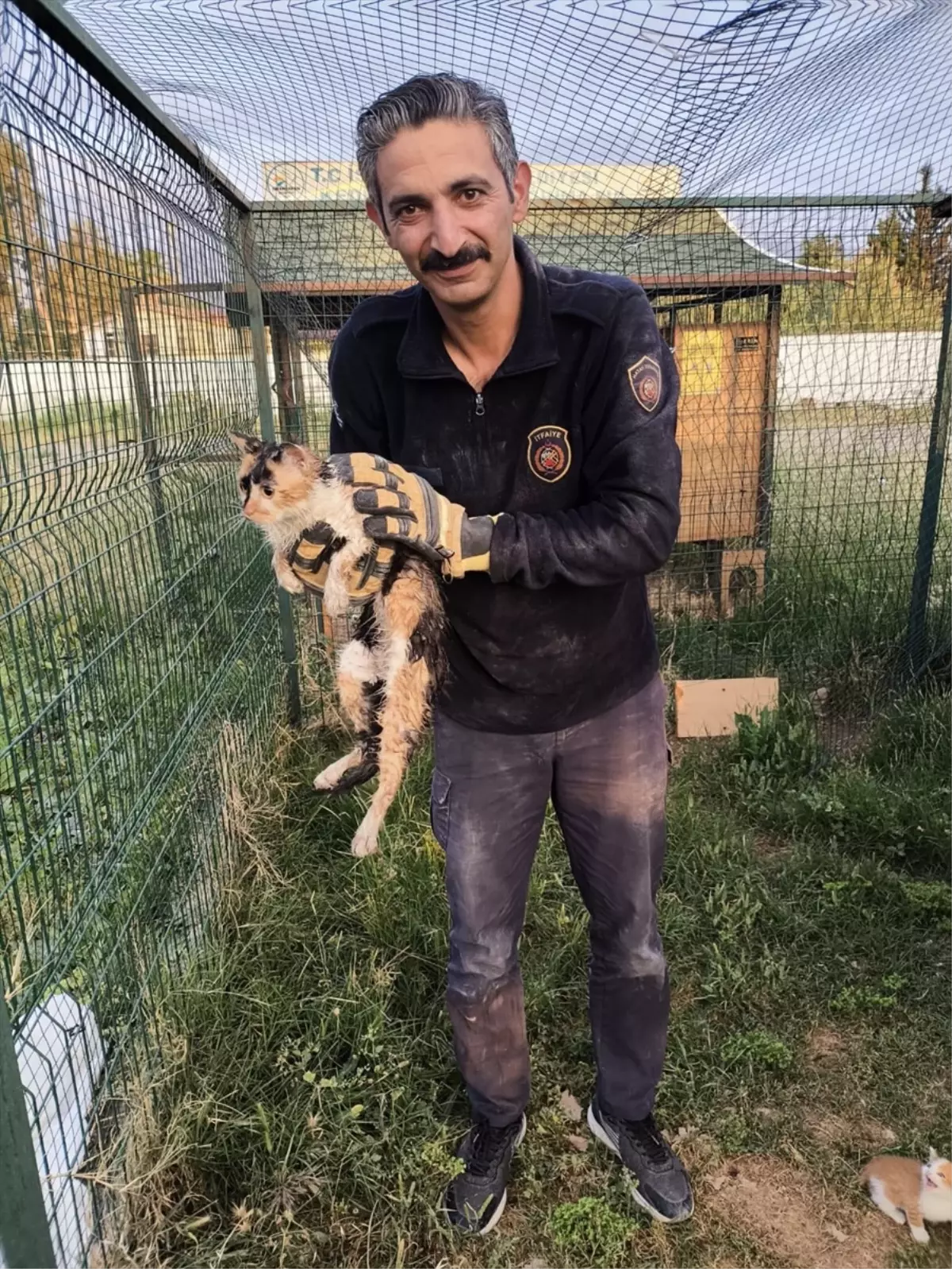 İskenderun'da Bina Boşluğuna Düşen Kedi İtfaiye Ekiplerince Kurtarıldı
