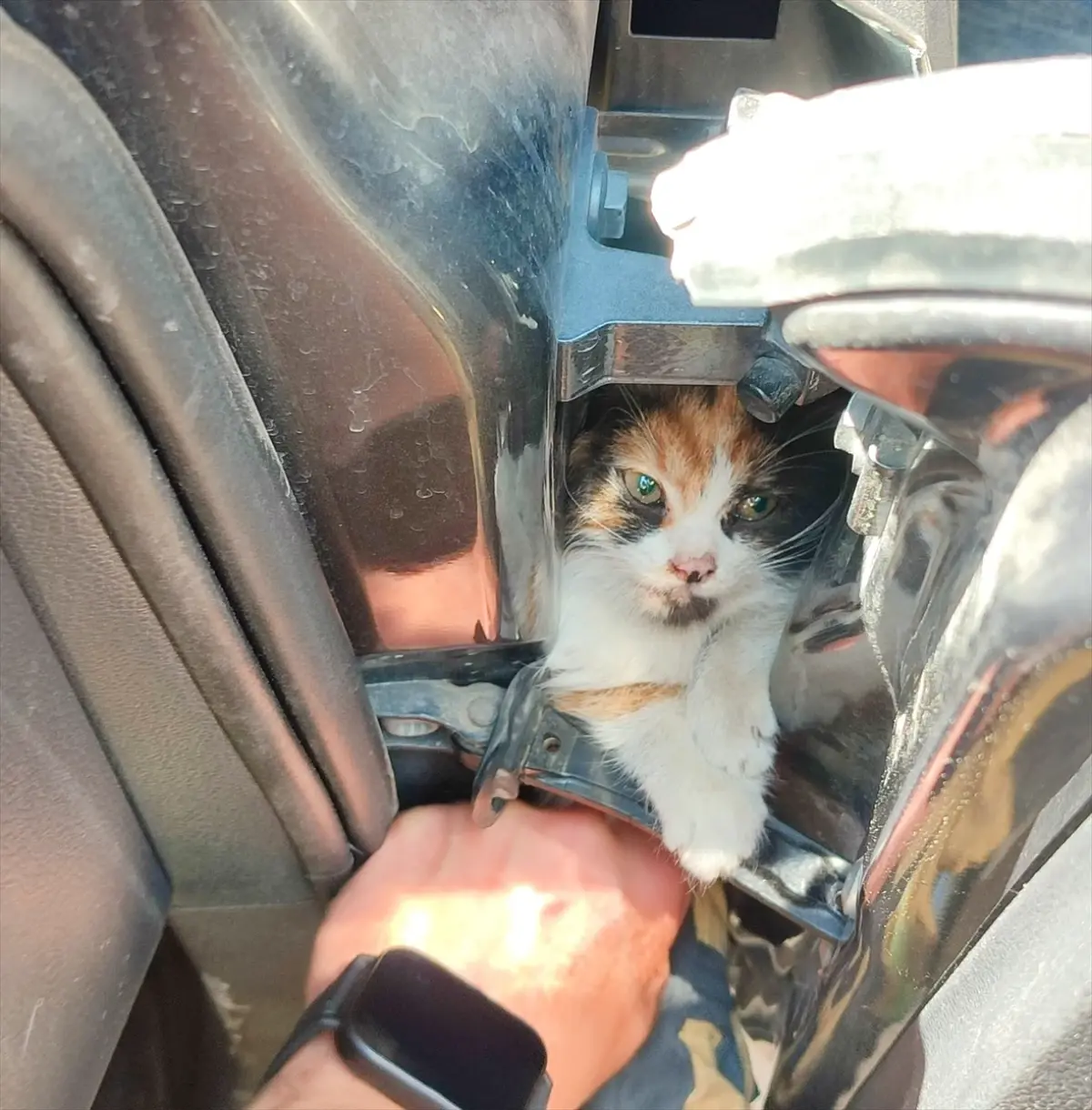 İskenderun'da Kedi Yavrusunu İtfaiye Kurtardı
