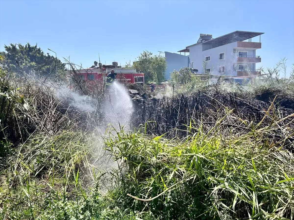 Hatay'ın Arsuz ilçesinde sazlık alanında yangın