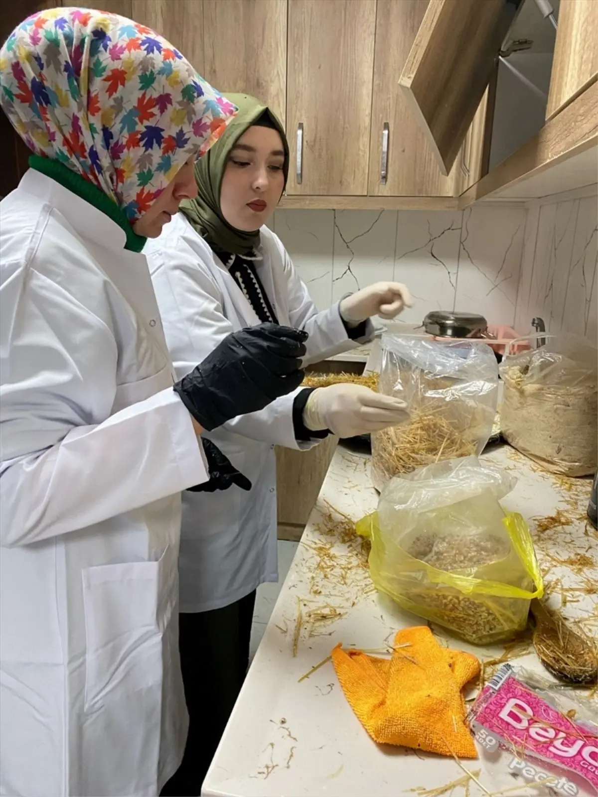 Hocalar'da Kadınlara Yönelik Mantar Yetiştiriciliği Kursu Düzenlendi