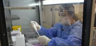 Trabzon'da HPV Taramaları Başarıyla Devam Ediyor