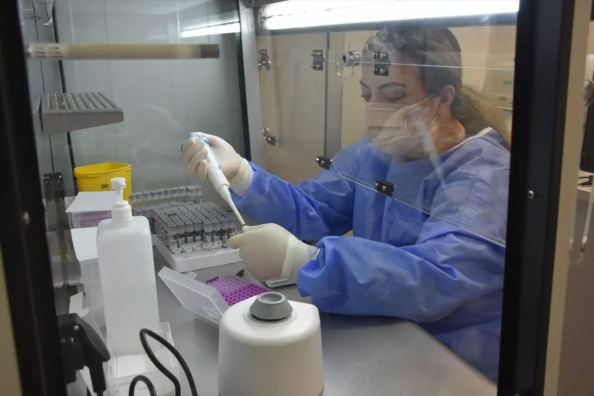 Trabzon'da HPV Taramaları Başarıyla Devam Ediyor