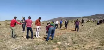 Hüyük'te şehitler anısına fidanlar toprakla buluştu