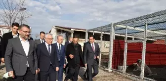 Sokak Güvenliği İçin Yeni Önlemler Alınacak