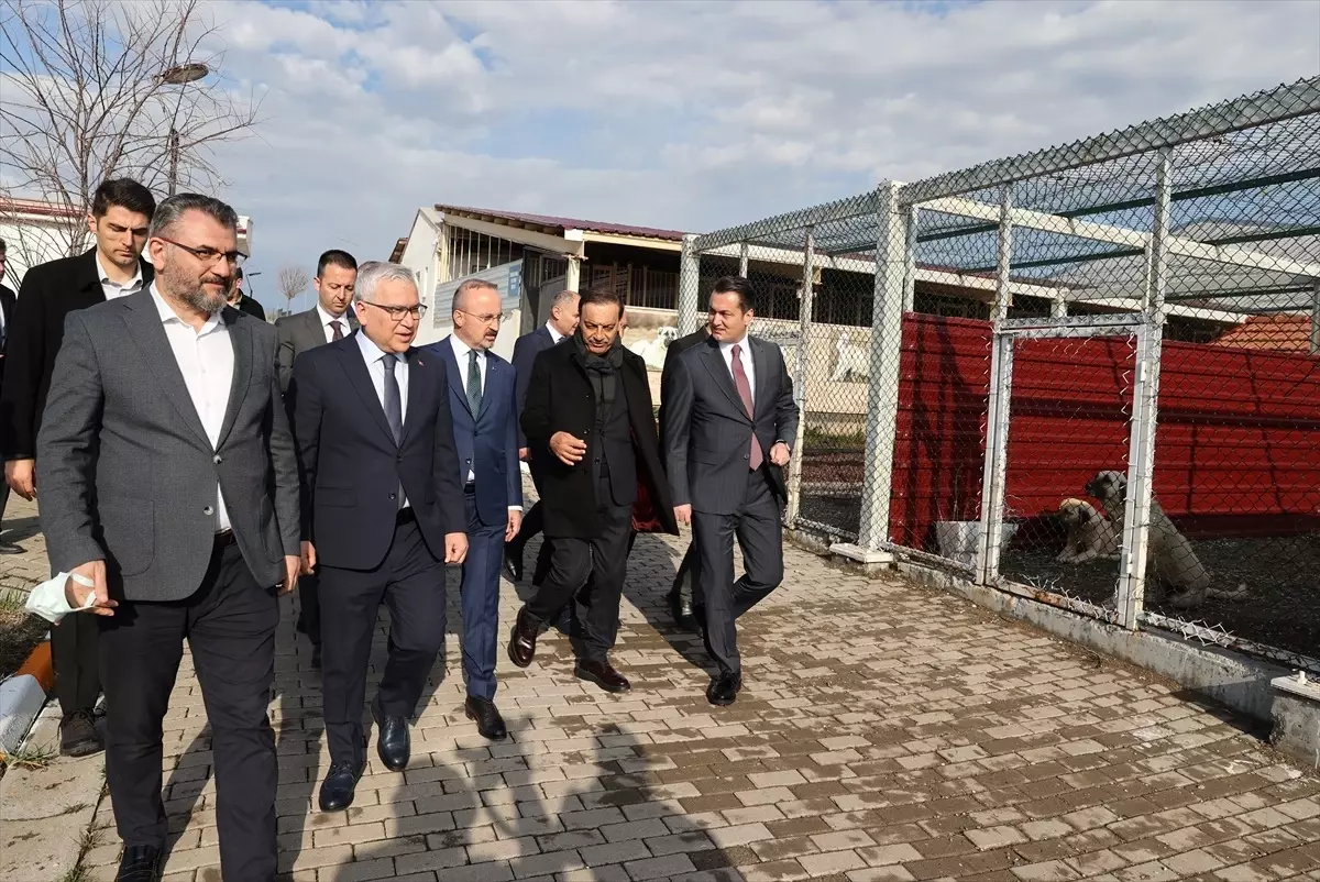 Sokak Güvenliği İçin Yeni Önlemler Alınacak