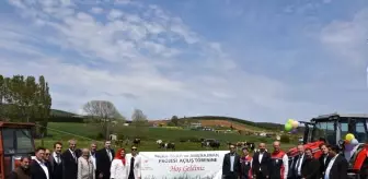 İstanbul'da 2.206 Çiftçiye 1.254.000 Fide Dağıtılacak