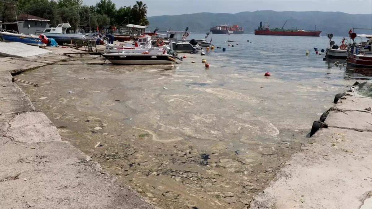 Körfez'deki Balıkçı Barınağında Temizlik Çalışması Başlatıldı