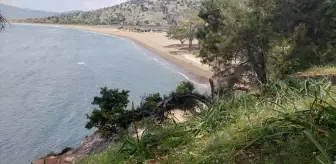 İztuzu Sahili'nde Caretta Carettalar İçin Yuvalama Hazırlıkları Tamamlandı
