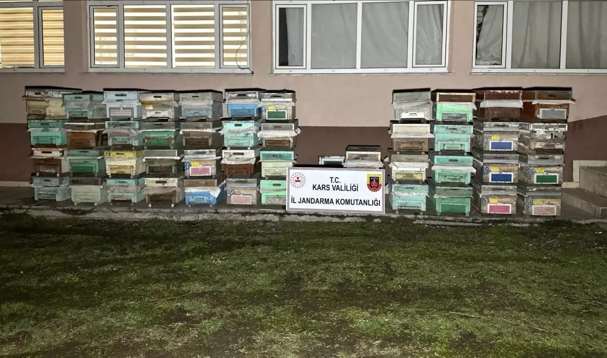 Kağızman'da Arı Kovanı Hırsızları Yakalandı